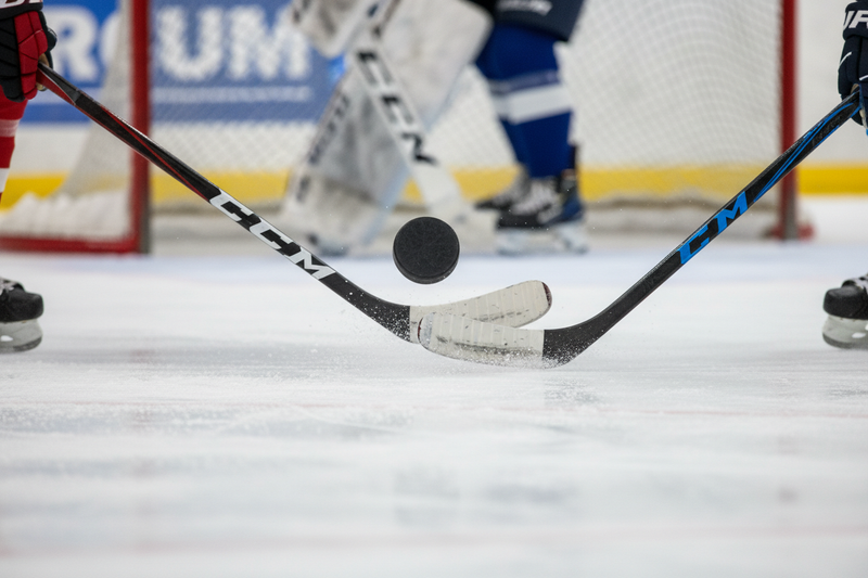 Hockey Sticks